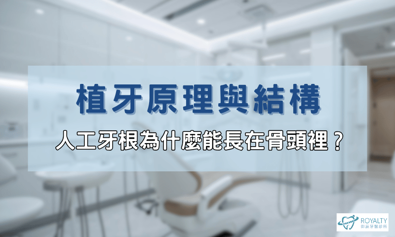 四、植牙原理與結構,人工牙根為什麼能長在骨頭裡?情境圖
