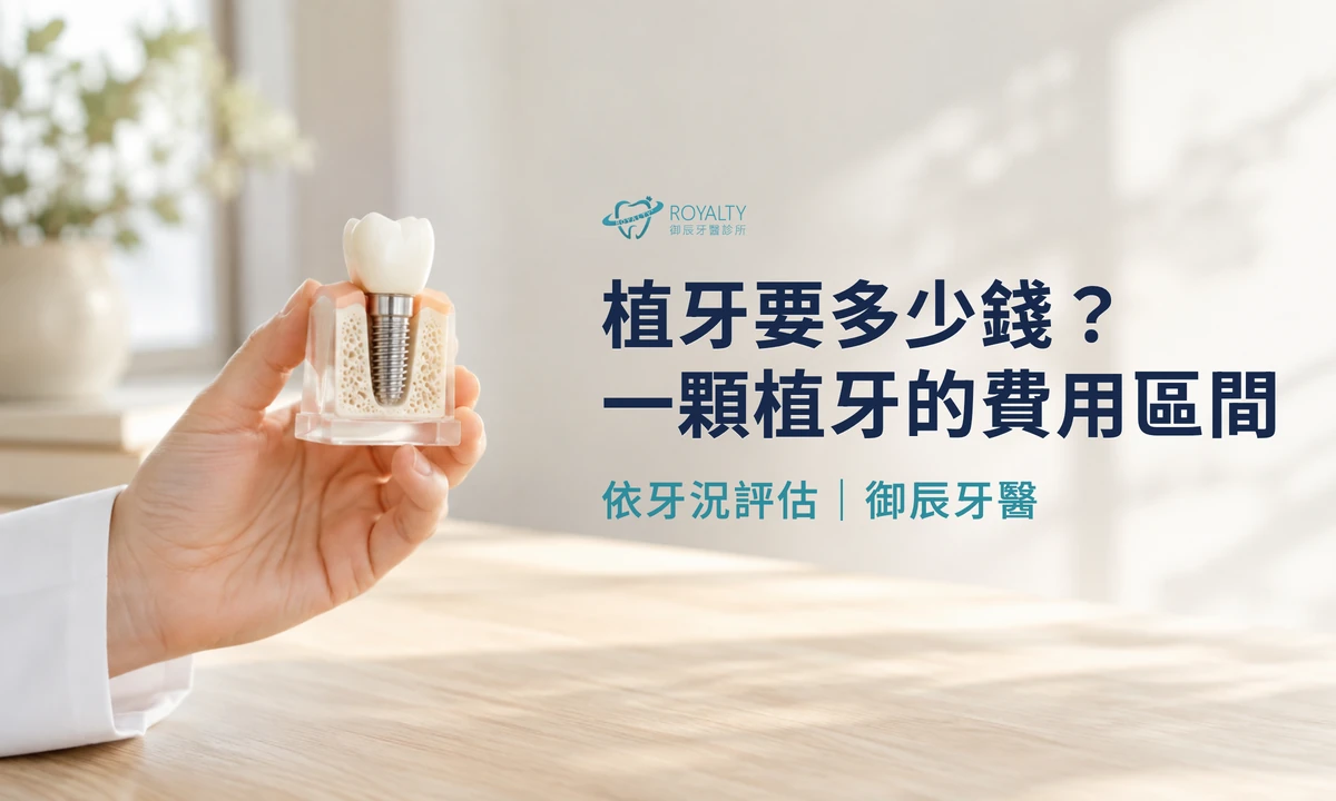 植牙要多少錢：醫師手持人工植牙模型，說明一顆植牙的費用區間